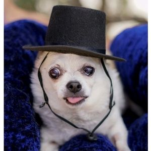 Meet your Posher, Kara